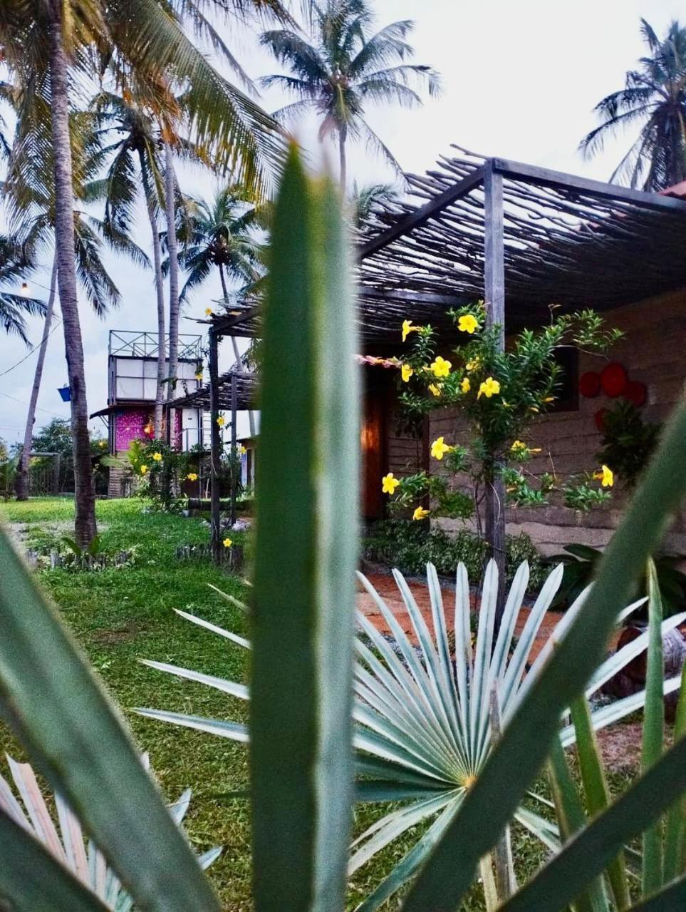 Mare De Atins Eco Lodge Kültér fotó